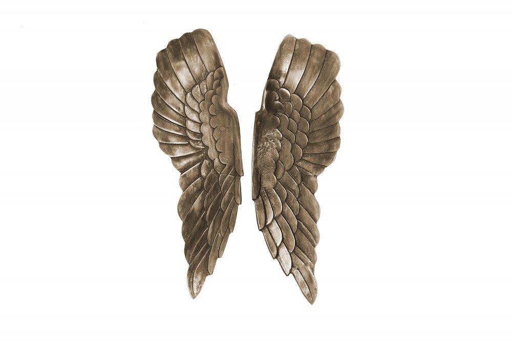 Nástěnná dekorace křídla AIMOS Dekorhome Obrázek