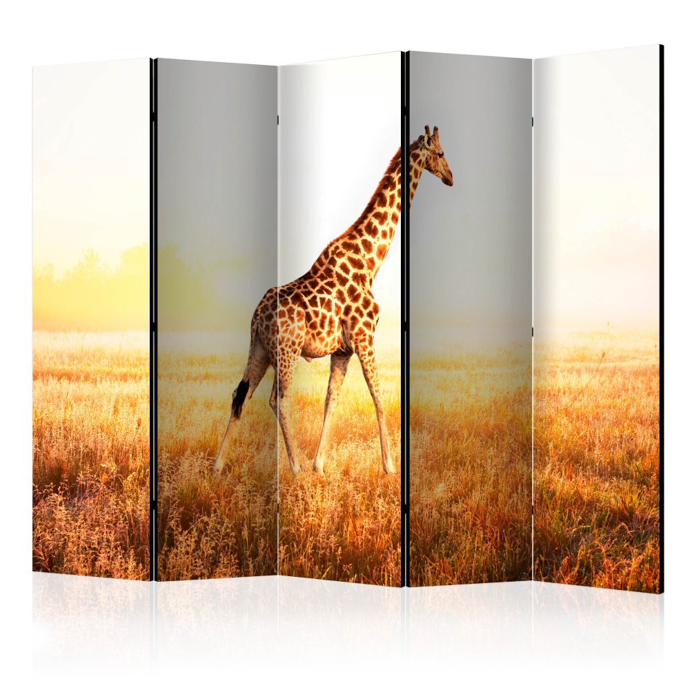 Paraván giraffe - walk Dekorhome 225x172 cm (5-dílný),Paraván giraffe - walk Dekorhome 225x172 cm (5