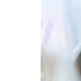 Bílá / průhledná