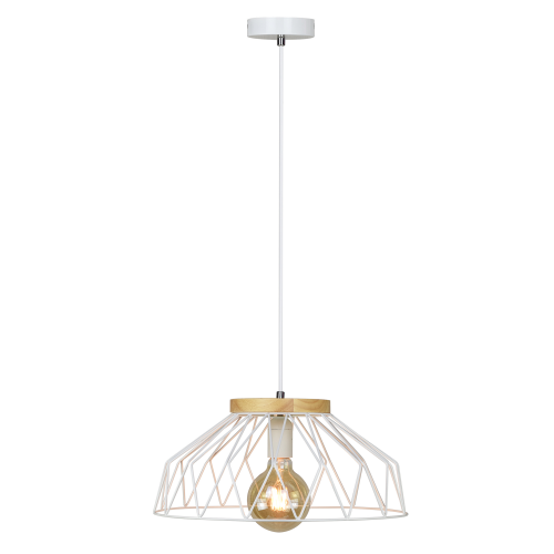 Závesná lampa TREX TYP 2 - BAREVNÁ VARIANTA: Čierna