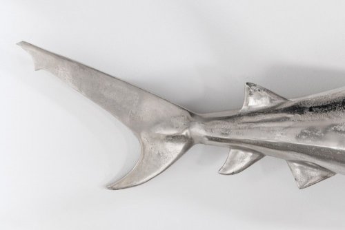 Nástěnná dekorace žralok DAKENTA Dekorhome