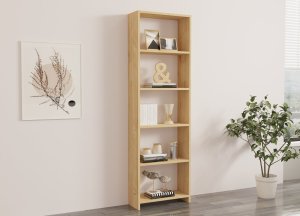 Knihovna New - Oak