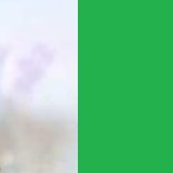 Průhledná / zelená