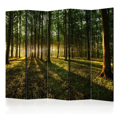 Paraván Morning in the Forest Dekorhome - ROZMĚR: 135x172 cm (3-dílný)