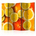 Paraván - Citrus fruits [Room Dividers]