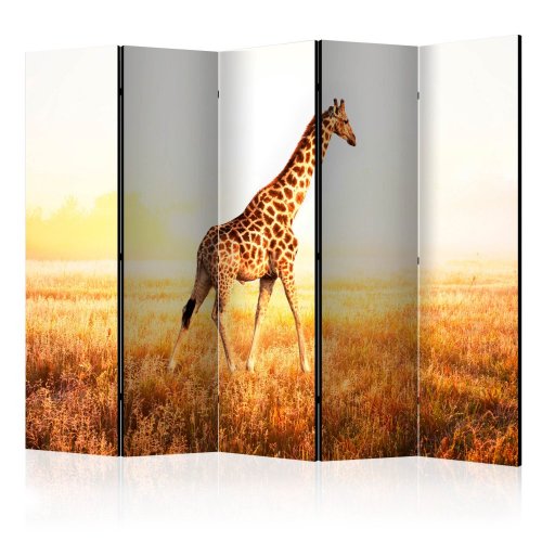 Paraván giraffe - walk Dekorhome - ROZMĚR: 225x172 cm (5-dílný)
