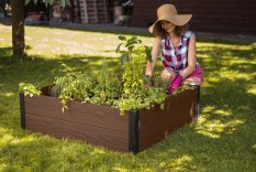 Vyvýšený záhon MAPLE