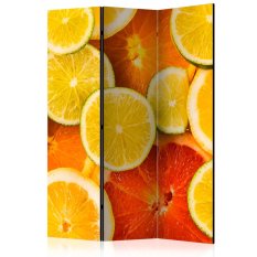 Paraván - Citrus fruits [Room Dividers]