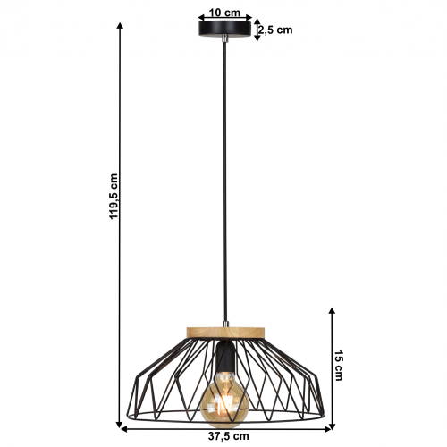 Závesná lampa TREX TYP 2 - BAREVNÁ VARIANTA: Čierna
