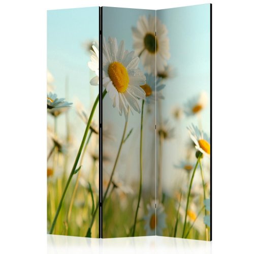 Paraván Daisies - spring meadow Dekorhome - ROZMĚR: 135x172 cm (3-dílný)