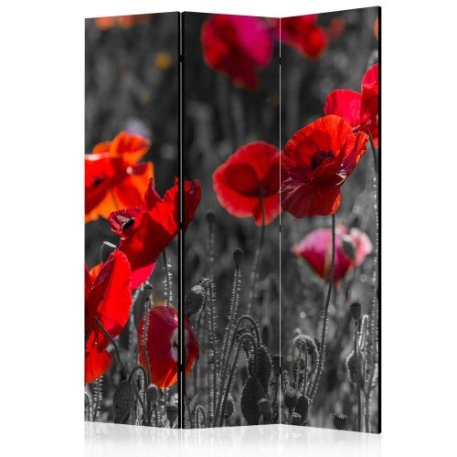 Paraván Red Poppies Dekorhome - ROZMER: 135x172 cm (3-dielny)