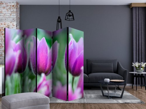Paraván Purple spring tulips Dekorhome - ROZMĚR: 225x172 cm (5-dílný)