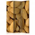 Paraván - Tasty almonds [Room Dividers]