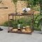 Zahradní barový vozík polyratan Dekorhome - POSLEDNÍ KUS