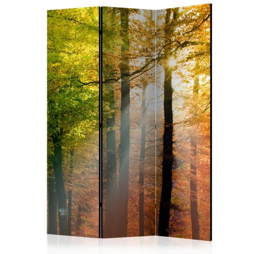 Paraván Forest Colours Dekorhome - ROZMER: 135x172 cm (3-dielny)