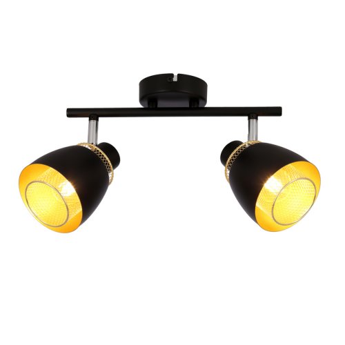 Stropní bodová lampa ALEKSANDRIA