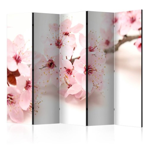 Paraván Cherry Blossom Dekorhome - ROZMER: 225x172 cm (5-dielny)
