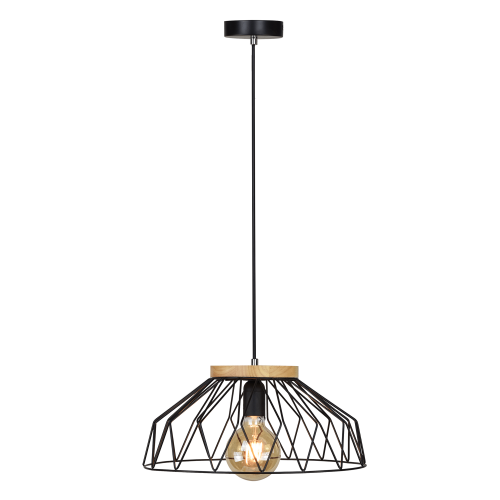 Závesná lampa TREX TYP 2 - BAREVNÁ VARIANTA: Čierna