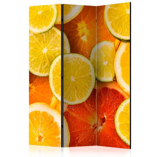 Paraván Citrus fruits Dekorhome - ROZMER: 135x172 cm (3-dielny)