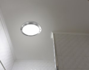Stropná lampa Aquila 32cm 1xE27 Saténový nikel IP44
