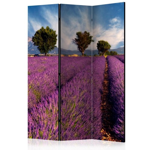 Paraván Lavender field in Provence, France Dekorhome - ROZMĚR: 135x172 cm (3-dílný)