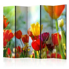 Paraván - Spring Tulips II [Room Dividers]
