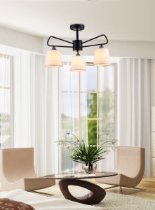 Čiernobiela kovová stropná lampa Morley Ledea