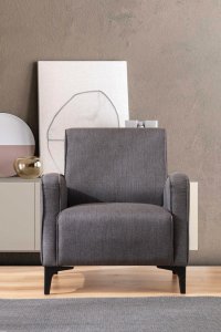 Kreslo ušiak Petra - Anthracite