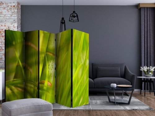 Paraván Bamboo - nature zen Dekorhome - ROZMER: 135x172 cm (3-dielny)