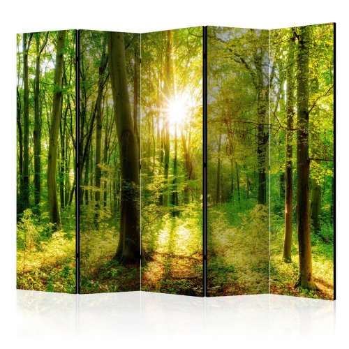 Paraván Forest Rays Dekorhome - ROZMĚR: 225x172 cm (5-dílný)