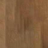 Ořech medový