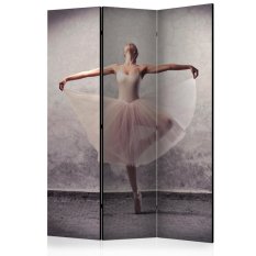 Paraván - Classical dance - poetry without words [Room Dividers]