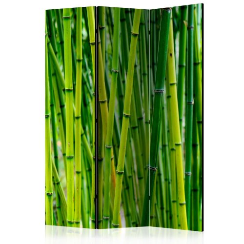 Paraván Bamboo Forest Dekorhome - ROZMER: 135x172 cm (3-dielny)