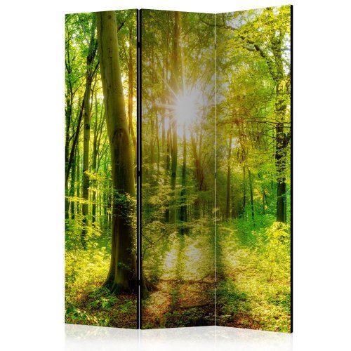 Paraván Forest Rays Dekorhome - ROZMĚR: 135x172 cm (3-dílný)