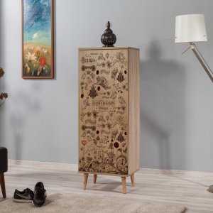 Skrinka na topánky / Botník Filinta-731