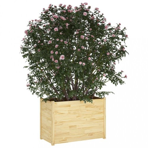 Záhradný kvetináč borovice Dekorhome - BAREVNÁ VARIANTA: Hnedá