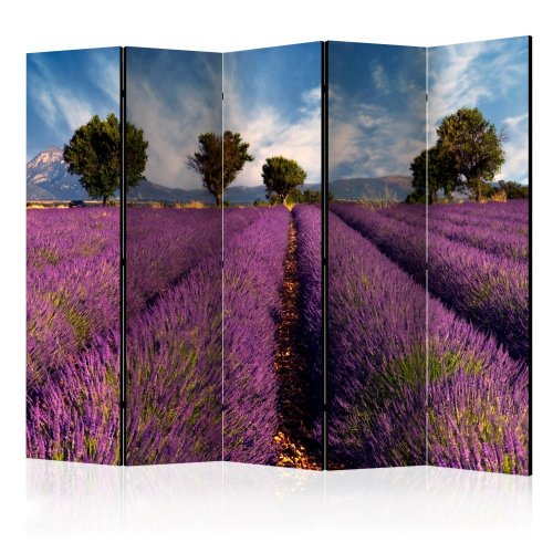 Paraván Lavender field in Provence, France Dekorhome - ROZMĚR: 225x172 cm (5-dílný)