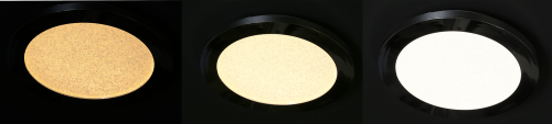 Stropní koupelnové svítidlo PIXEL minimalistické - stříbrný chrom 22,5 cm - kulaté LED stropní svítidlo se stmíváním 3000K 12W IP441