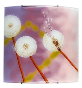 Nástenná lampa 1X60W E27 púpavy