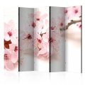 Paraván - Cherry Blossom [Room Dividers]