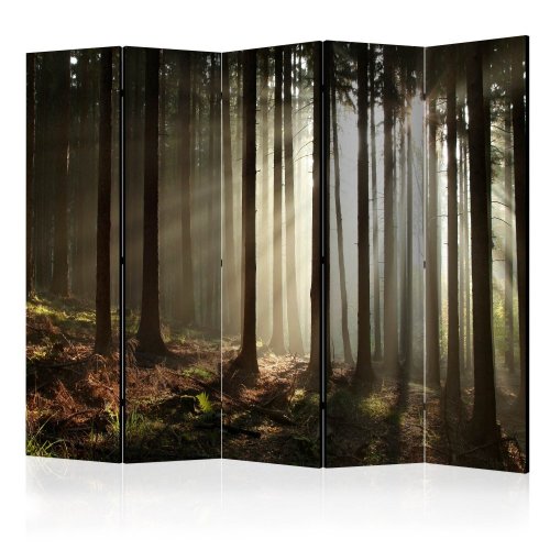 Paraván Coniferous forest Dekorhome - ROZMĚR: 225x172 cm (5-dílný)