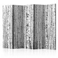 Paraván - Birch forest [Room Dividers]