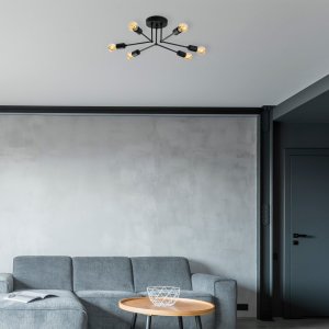 Luster Sparrow - 1231