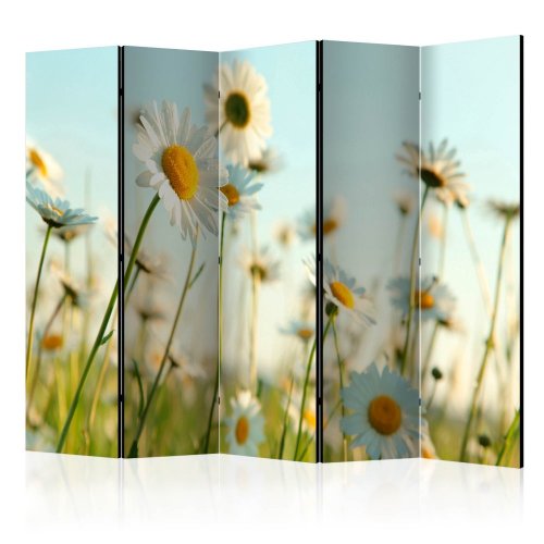 Paraván Daisies - spring meadow Dekorhome - ROZMĚR: 225x172 cm (5-dílný)