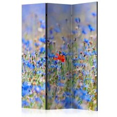 Paraván - A sky-colored meadow - cornflowers [Room Dividers]