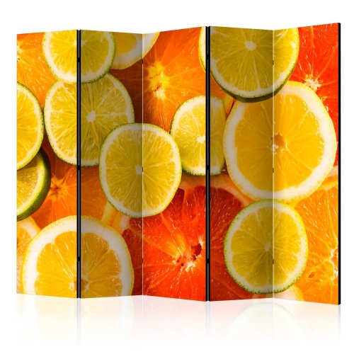 Paraván Citrus fruits Dekorhome - ROZMĚR: 225x172 cm (5-dílný)