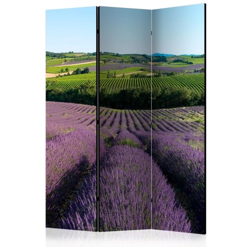 Paraván Lavender fields Dekorhome - ROZMĚR: 135x172 cm (3-dílný)