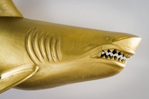 Nástěnná dekorace žralok DAKENTA Dekorhome - PROVEDENÍ: Pravé
