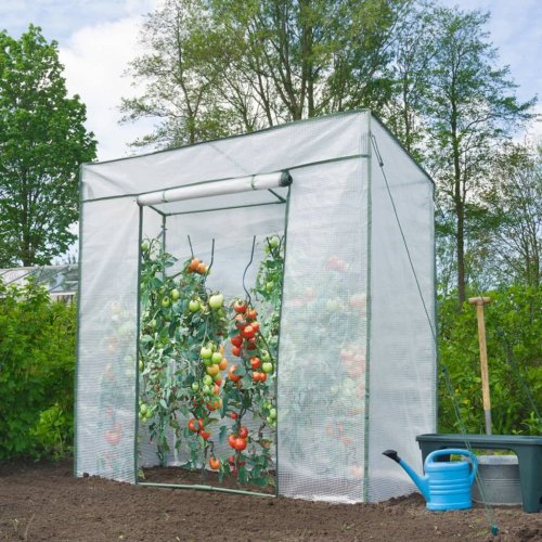 Fóliovník na paradajky Dekorhome - ROZMER: 100x50x150 cm
