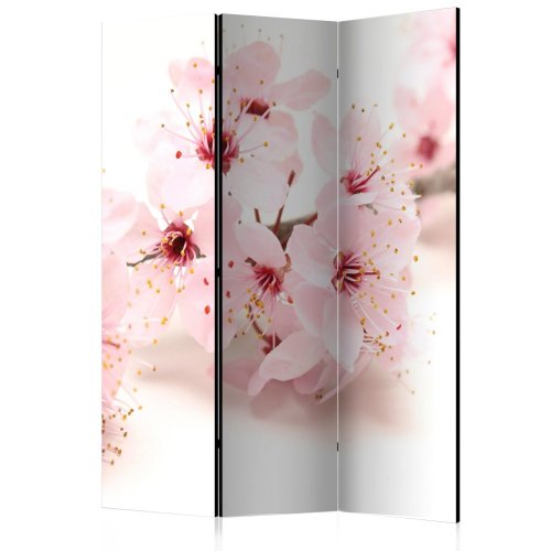 Paraván Cherry Blossom Dekorhome - ROZMER: 135x172 cm (3-dielny)